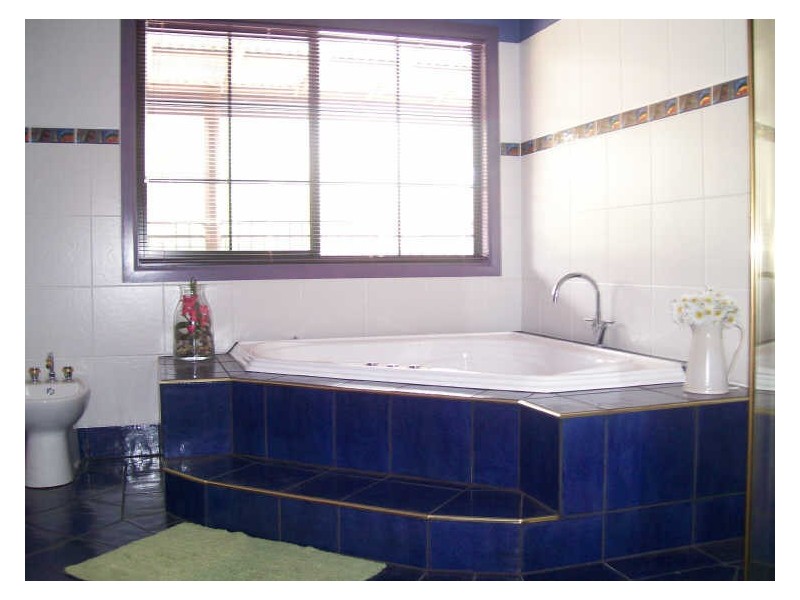 311 Leggetts Drive, Richmond Vale NSW 2323
