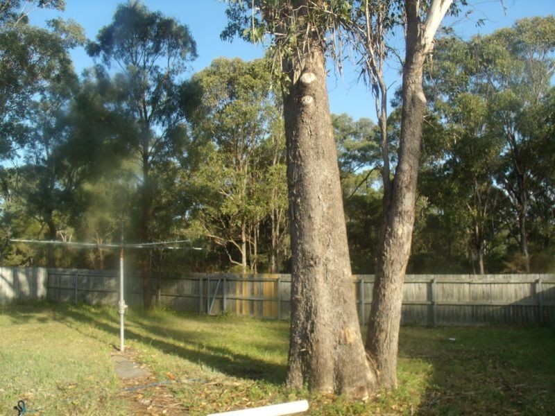 147 Alkira Ave, Cessnock NSW 2325