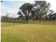 31 Stonebridge Drive, Cessnock NSW 2325