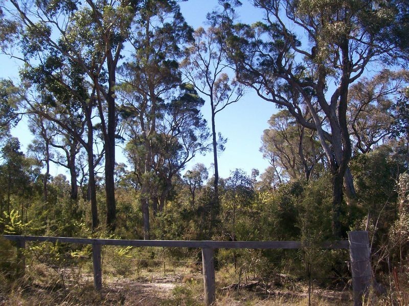 86 Church Street, Weston NSW 2326