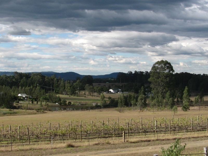 842 Lovedale Road, Allandale NSW 2320