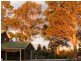 842 Lovedale Road, Allandale NSW 2320