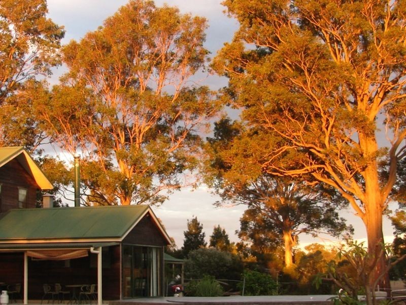 842 Lovedale Road, Allandale NSW 2320