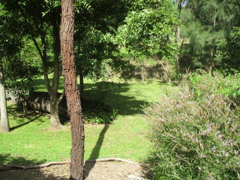 441 Wallaby Gully Road, Ellalong NSW 2325