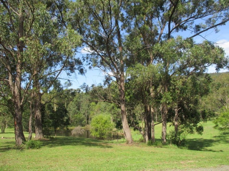 441 Wallaby Gully Road, Ellalong NSW 2325