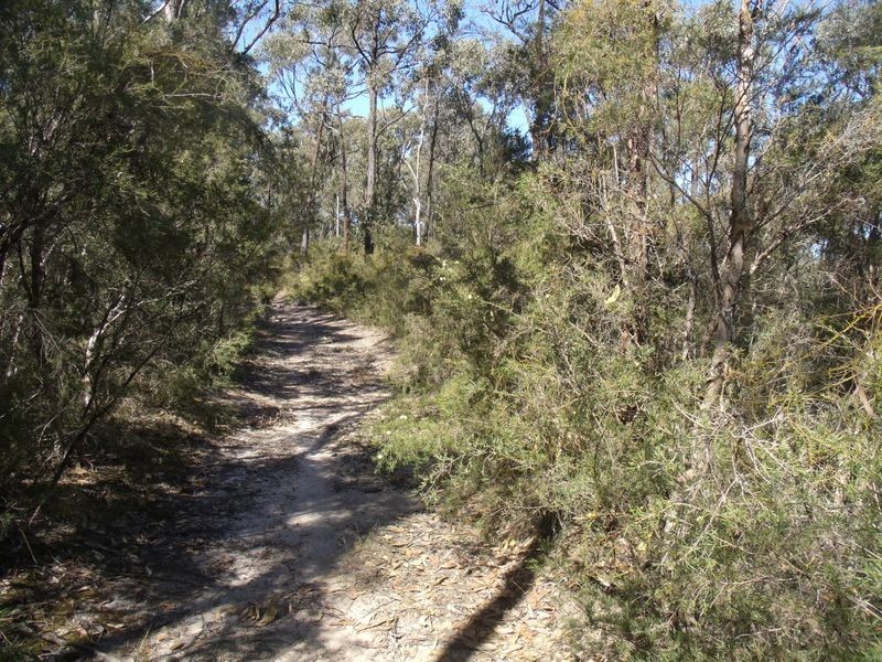 86 Church Street, Weston NSW 2326