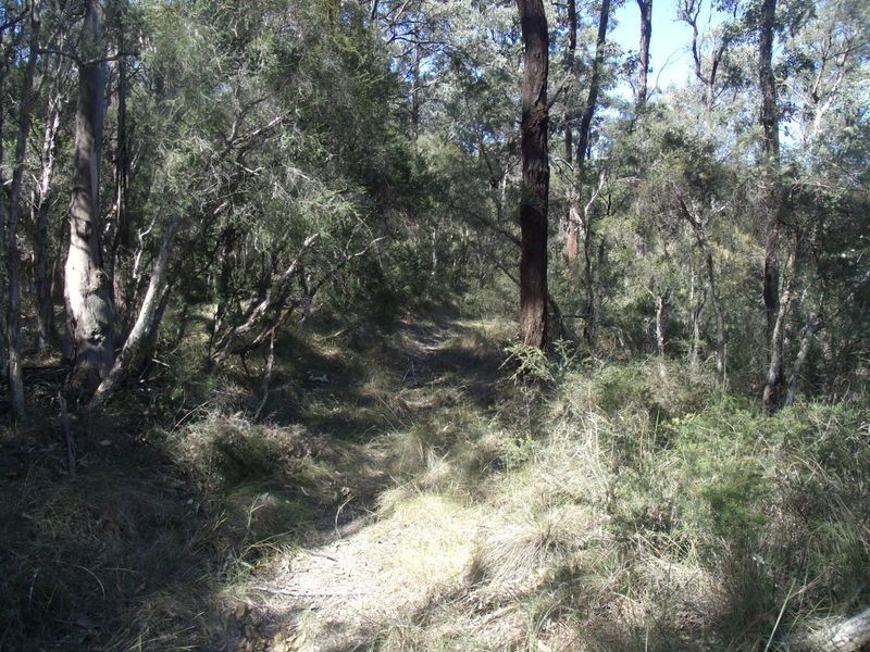 86 Church Street, Weston NSW 2326