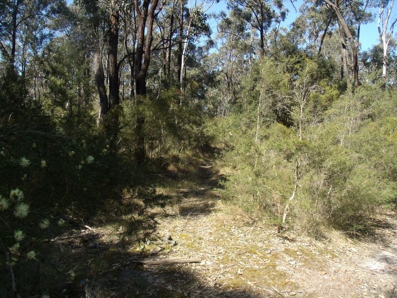 86 Church Street, Weston NSW 2326