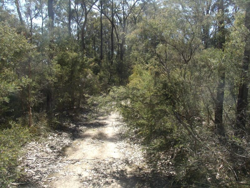 86 Church Street, Weston NSW 2326