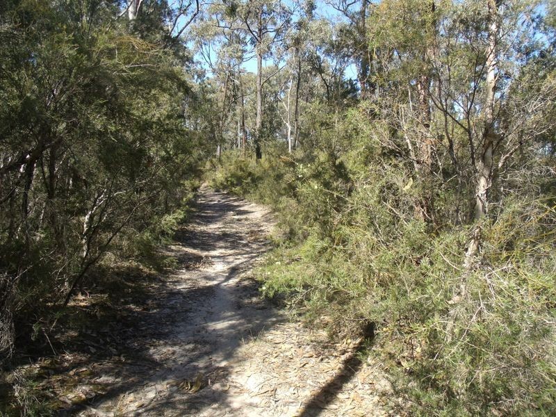 86 Church Street, Weston NSW 2326