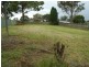 13 McBlane Street, Weston NSW 2326