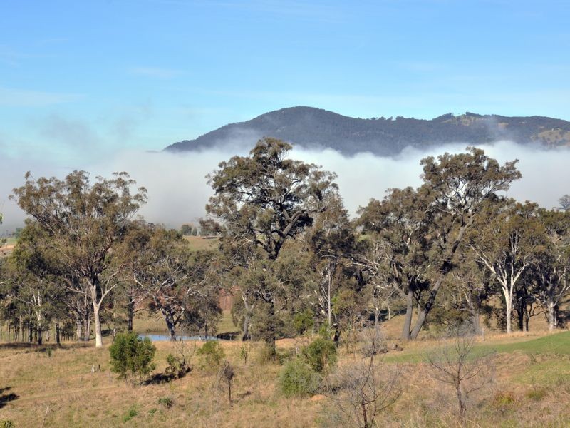 Villa 55 Elysia Thompsons Rd, Pokolbin NSW 2320