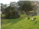 33 Frame Drive, Abermain NSW 2326