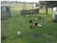 33 Frame Drive, Abermain NSW 2326