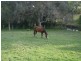 33 Frame Drive, Abermain NSW 2326