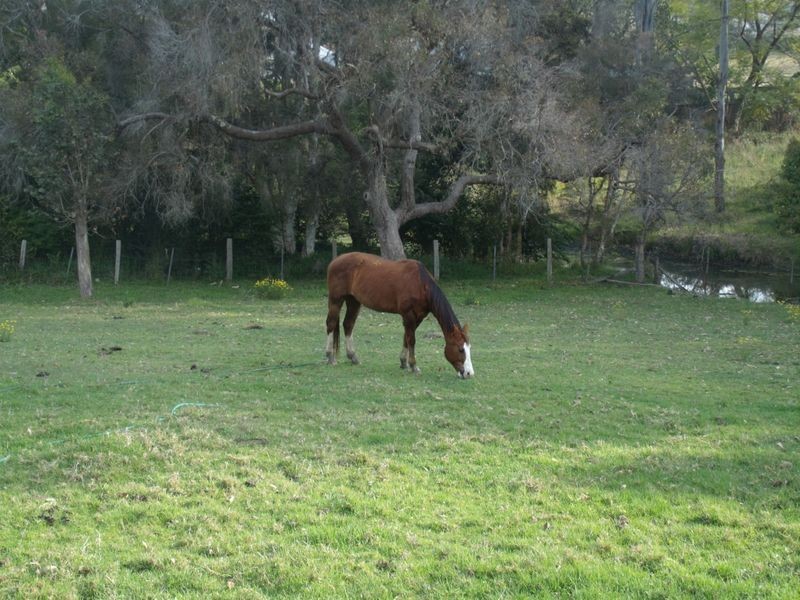 33 Frame Drive, Abermain NSW 2326