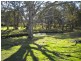 33 Frame Drive, Abermain NSW 2326