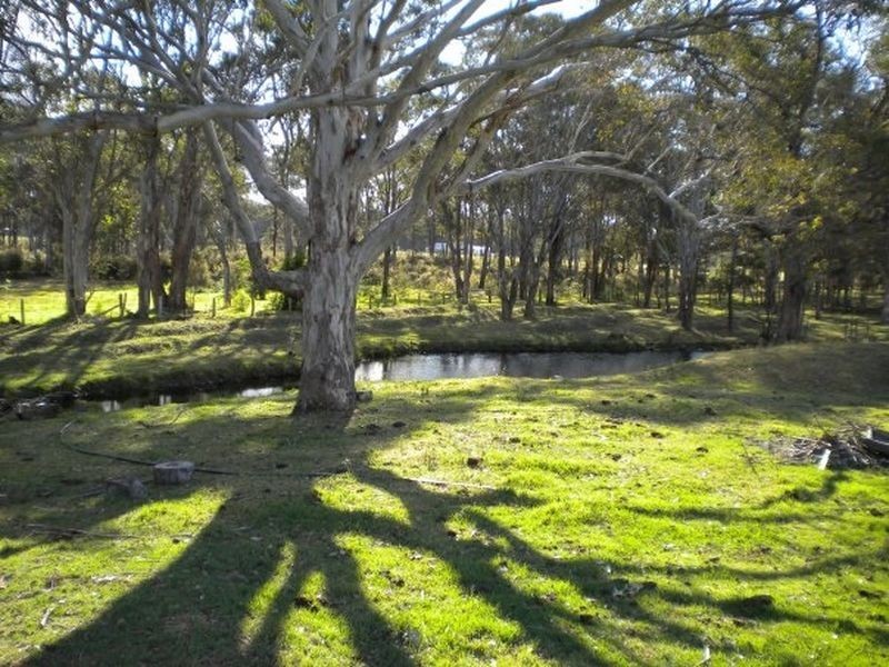 33 Frame Drive, Abermain NSW 2326