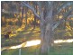 33 Frame Drive, Abermain NSW 2326