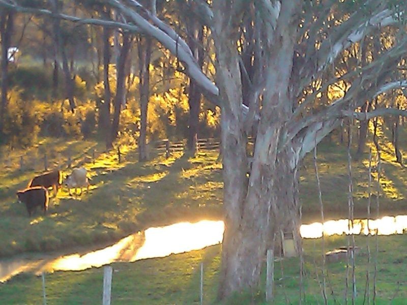 33 Frame Drive, Abermain NSW 2326