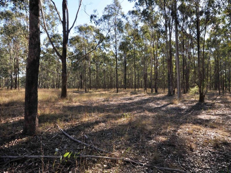 LOT 11 De Beyers Road, Pokolbin NSW 2320