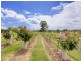 Lot 56 Kelman Estate, Pokolbin NSW 2320