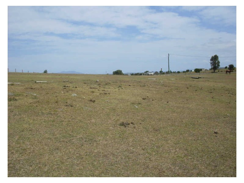 447 Bingie Road, Bingie NSW 2537