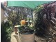 Bodalla NSW 2545
