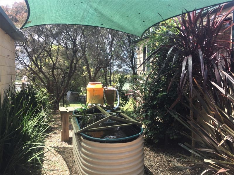 Bodalla NSW 2545