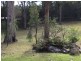 160 Bodalla Park Drive, Bodalla NSW 2545