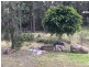 160 Bodalla Park Drive, Bodalla NSW 2545