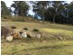 160 Bodalla Park Drive, Bodalla NSW 2545