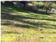 160 Bodalla Park Drive, Bodalla NSW 2545