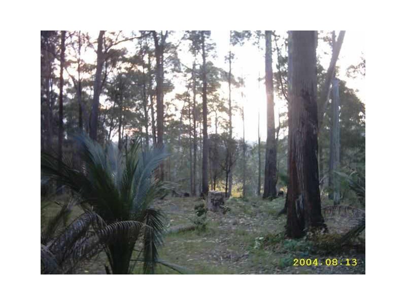 131 Coila Creek Road, Coila NSW 2537