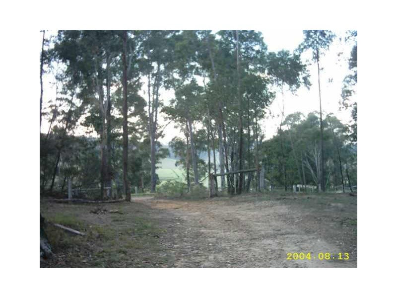 131 Coila Creek Road, Coila NSW 2537