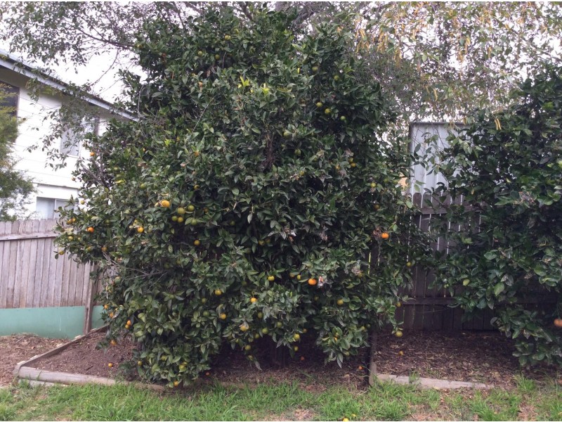 7 Salmon Street, Tuross Head NSW 2537