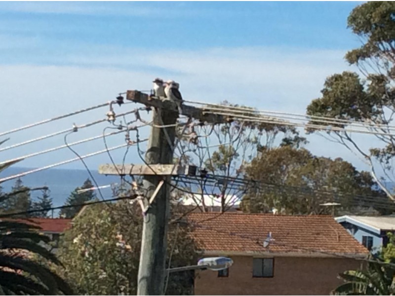 7 Salmon Street, Tuross Head NSW 2537