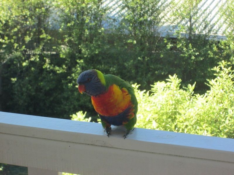 42 Marlin Street, Tuross Head NSW 2537