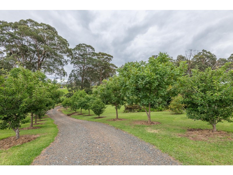274 Bodalla Park Drive, Bodalla NSW 2545