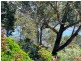 37 Trafalgar Road, Tuross Head NSW 2537