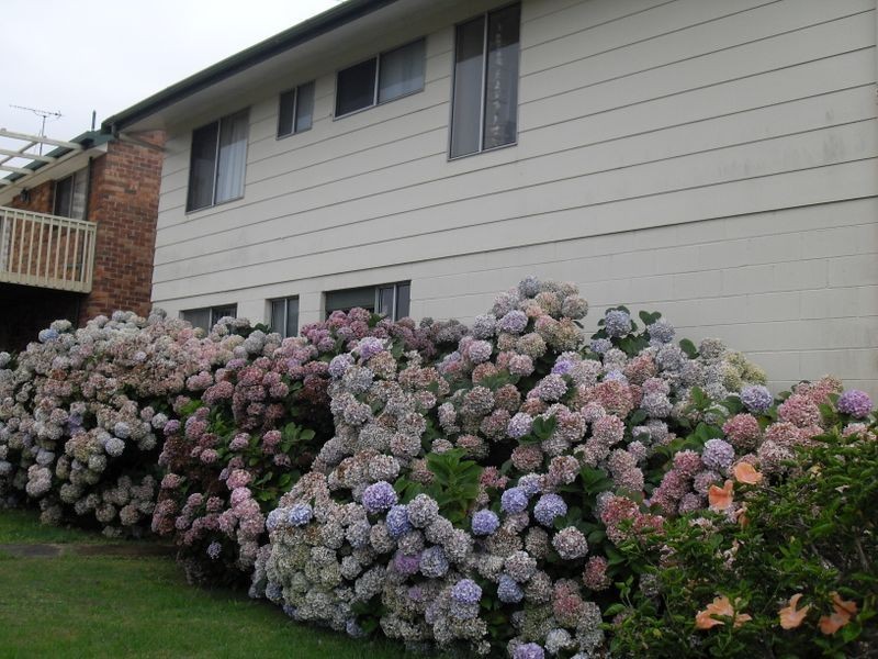 11 Kitchener Road, Tuross Head NSW 2537