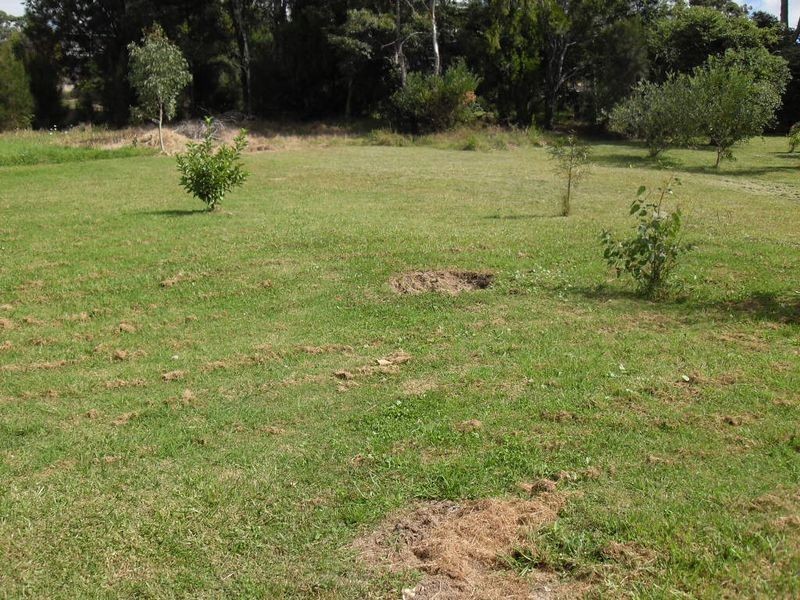 61 – 63 Bondi Street, Tuross Head NSW 2537