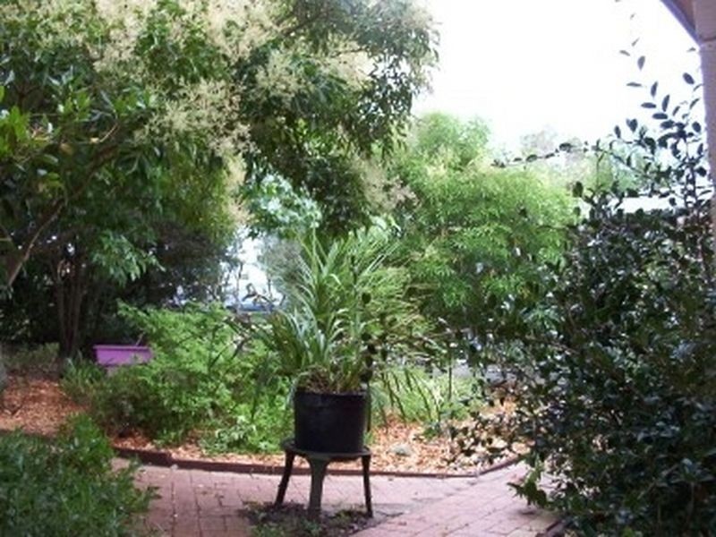 15 Brighton Street, Tuross Head NSW 2537