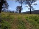 Lots 1 & 2 Byrnes Street, Nerrigundah NSW 2545