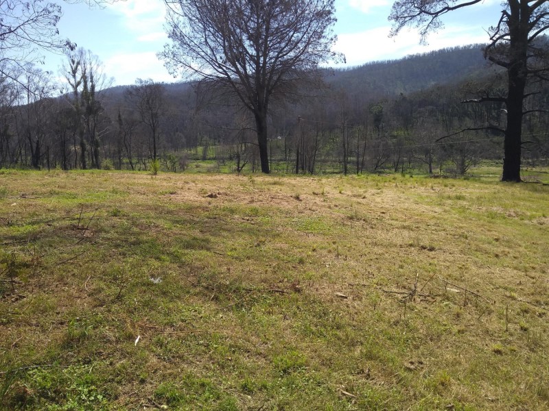 Lots 1 & 2 Byrnes Street, Nerrigundah NSW 2545