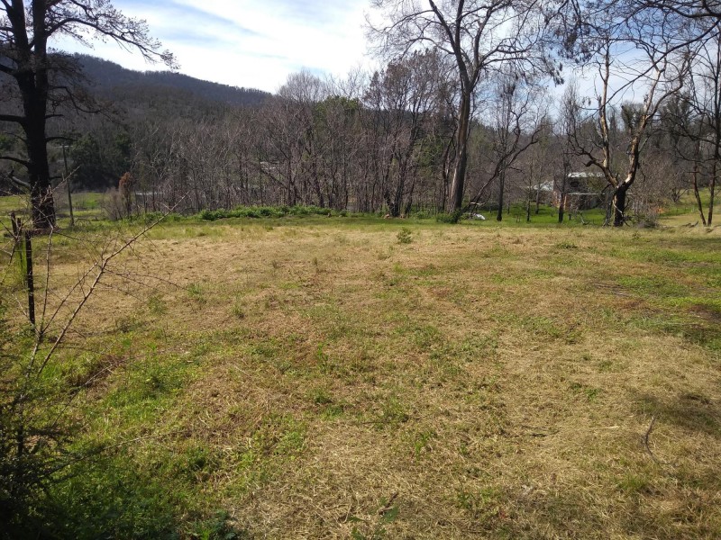Lots 1 & 2 Byrnes Street, Nerrigundah NSW 2545