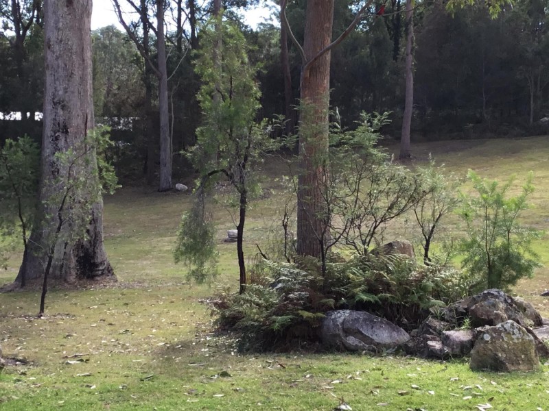 160 Bodalla Park Drive, Bodalla NSW 2545