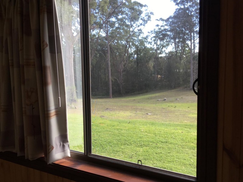 160 Bodalla Park Drive, Bodalla NSW 2545