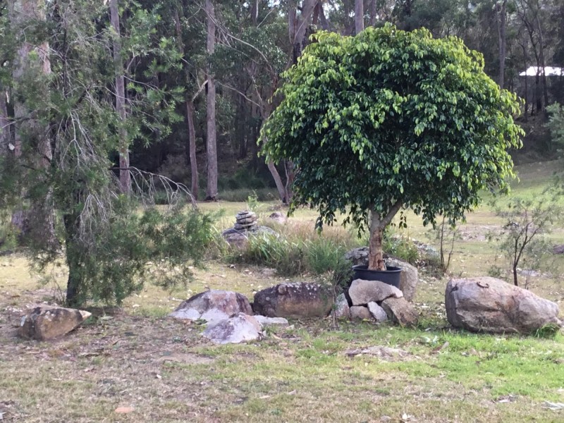 160 Bodalla Park Drive, Bodalla NSW 2545