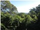 53 Trafalgar Road, Tuross Head NSW 2537